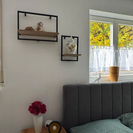 Sweet Blasewitz One Lejlighed Dresden